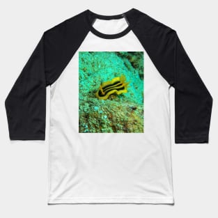 Pumpkin Sea Slug Baseball T-Shirt